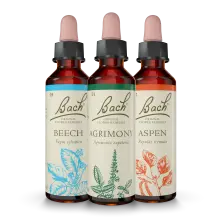 Florais de bach